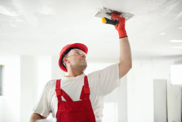 Best Comprehensive Air Testing for Mold Contaminants  in Martins Ferry, OH
